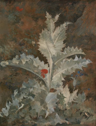  av John Crome