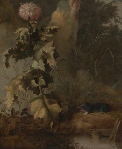  av John Crome