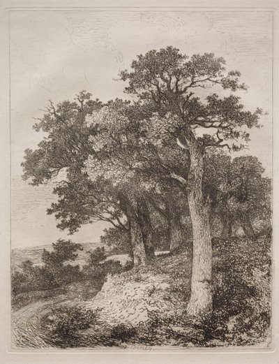 På Colney av John Crome