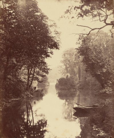  av John Dillwyn Llewelyn