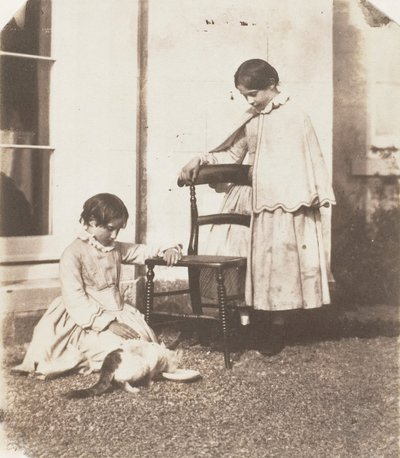 Mater stakkars puss, 1853-56. av John Dillwyn Llewelyn