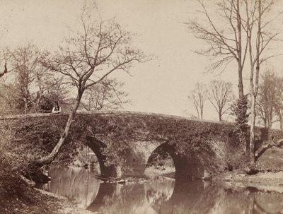 The Country Bridge Staplylton Bridge, Bristol, ca. 1854–1857. av John Dillwyn Llewelyn