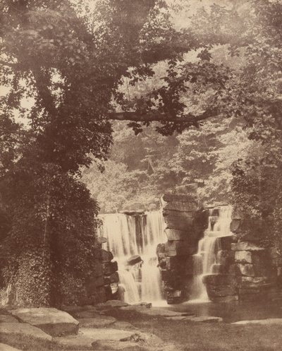  av John Dillwyn Llewelyn