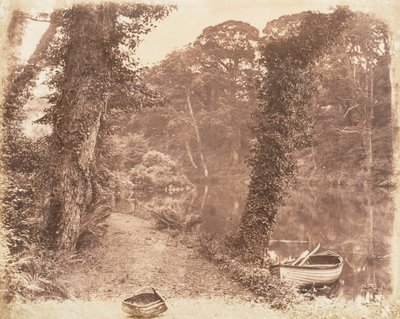 Upper Lake, 1853-56. av John Dillwyn Llewelyn