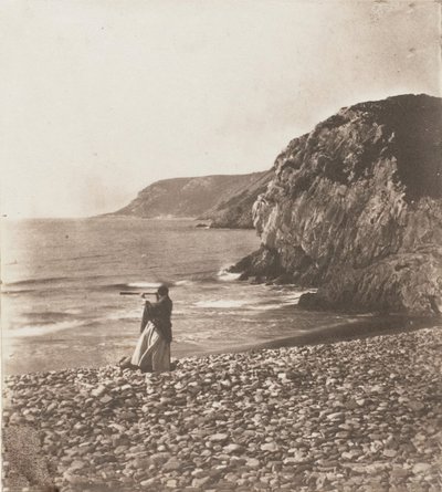 Vinder og bølger, 1853-56. av John Dillwyn Llewelyn