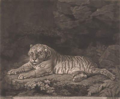 En Tigress av John Dixon