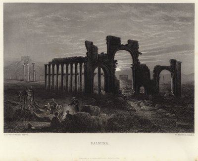 Palmyra av John Douglas Woodward