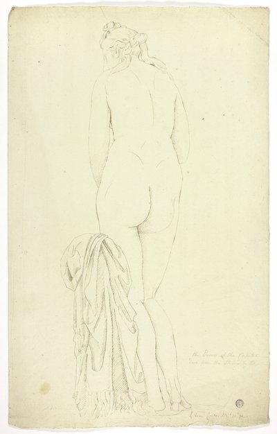 Capitoline Venus av John Downman