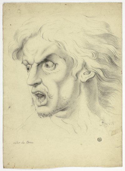  av John Downman