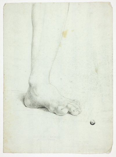  av John Downman