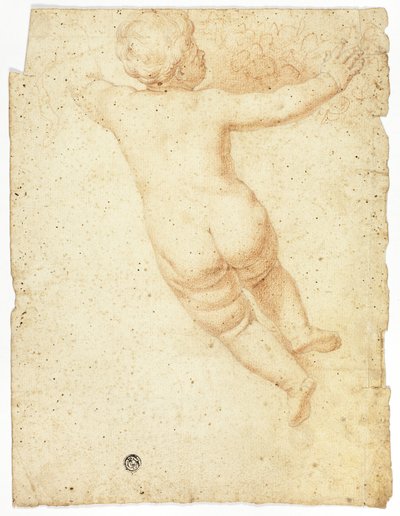  av John Downman