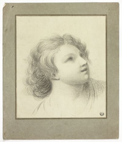  av John Downman
