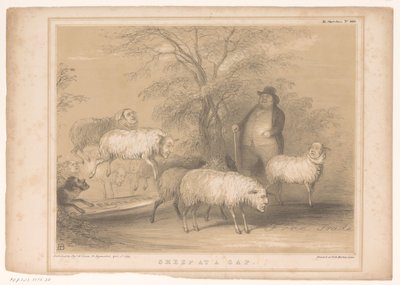 Tegneserie med britiske sauer Sau i et gap (tittel på objekt) HB Sketches (serietittel på objekt) av John Doyle