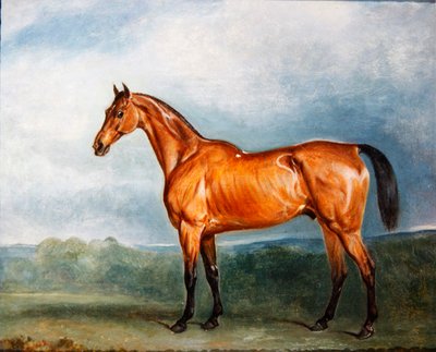 Brin-y-a-Pin i en paddock (olje på lerret) av John E. Ferneley