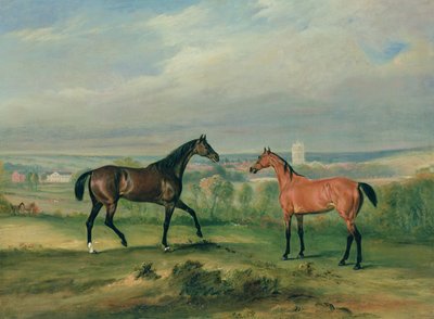 Greve Batyanys favorittjegere på Melton Mowbray av John E. Ferneley