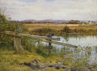 Veikanten, 1862 av John Edward Newton