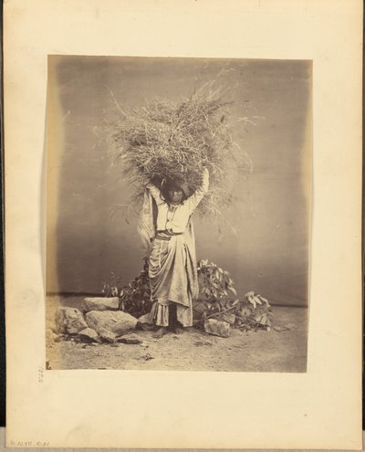  av John Edward Saché