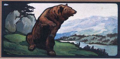 Brunbjørn av John Edwin Noble