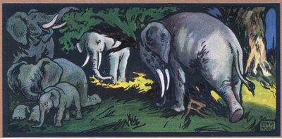 Elefant i villmarken av John Edwin Noble