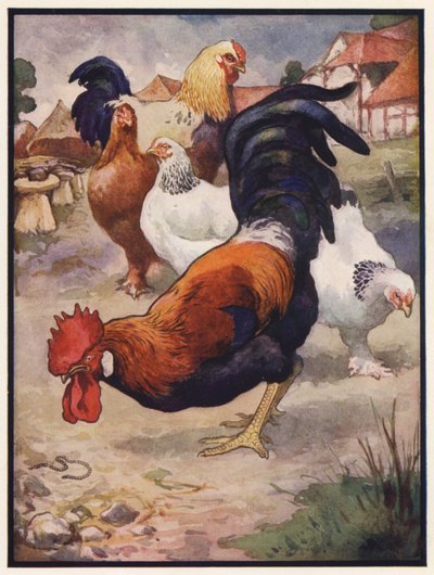 Hanen og juvelen (farge litho) av John Edwin Noble