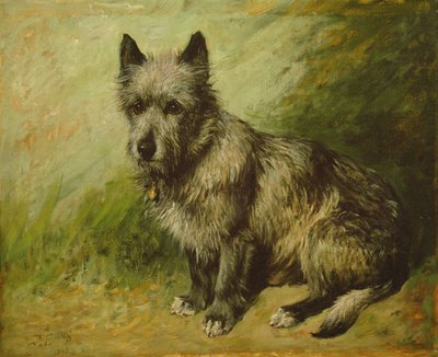 Lattere av John Emms