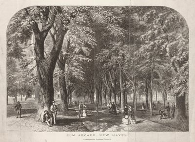 Elm Arcade View of the Green av John Filmer