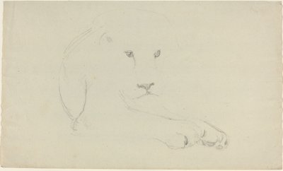 Løve av John Flaxman