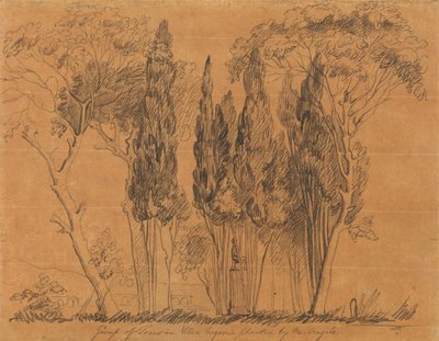 Trær i Villa Negroni Plantet av M. Angelo av John Flaxman
