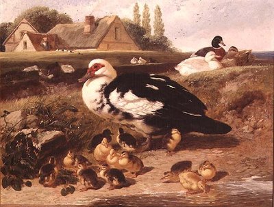 Ender og andunger av John Frederick Herring Jnr