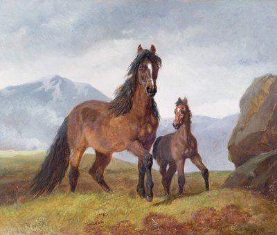En walisisk fjellhoppe og føll, 1854 (panel) av John Frederick Herring Senior