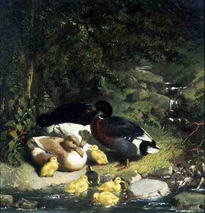 Ender og andunger av John Frederick Herring Senior
