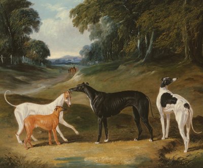 Greyhounds, 'Spot', 'Skylark', 'Nettle' og 'Sky' av John Frederick Herring Senior