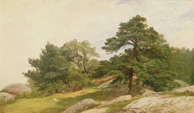 Studie for Trees on Beverly Coast av John Frederick Kensett
