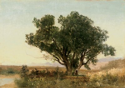 The Front Range, Colorado av John Frederick Kensett