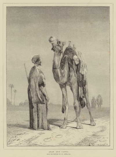 Arab og Camel av John Frederick Lewis