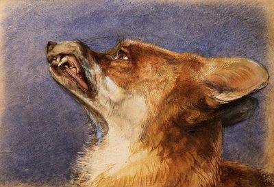 Hodet til en rev av John Frederick Lewis