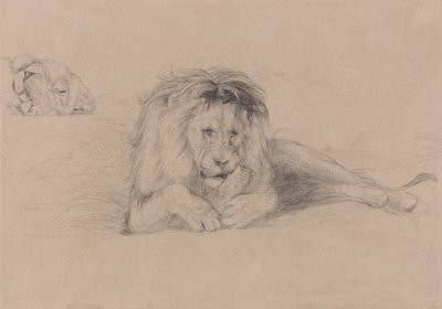 Studie av en løve og studie av en løvinnes hode av John Frederick Lewis
