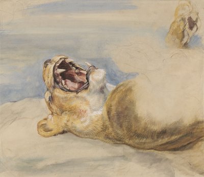 Studie av en løvinne (wc, kroppsfarge og grafitt på papir) av John Frederick Lewis