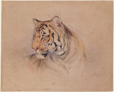 Tiger av John Frederick Lewis