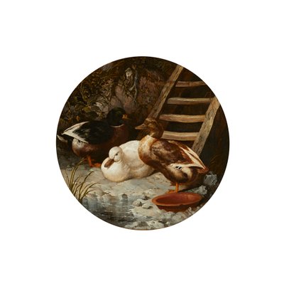 Ducks on a River Bank (olje på lerret) av John Frederick Herring Senior