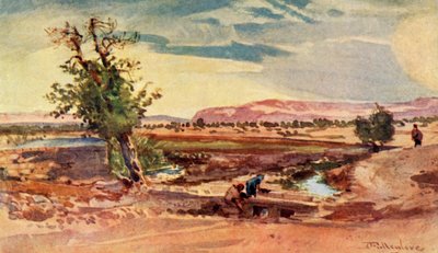 Strømmen som strømmer fra våren til Elisja, 1902. av John Fulleylove