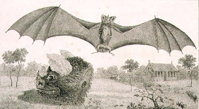 The Vampire or Spectre of Guyana av John Gabriel (after) Stedman