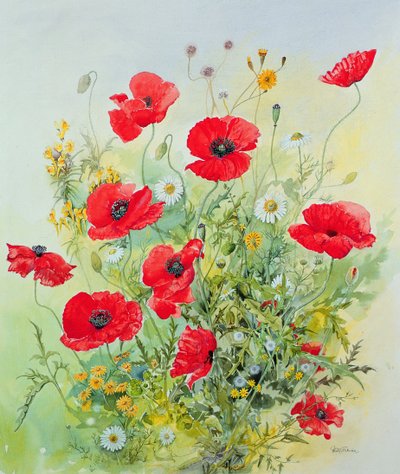 Valmuer og Mayweed av John Gubbins