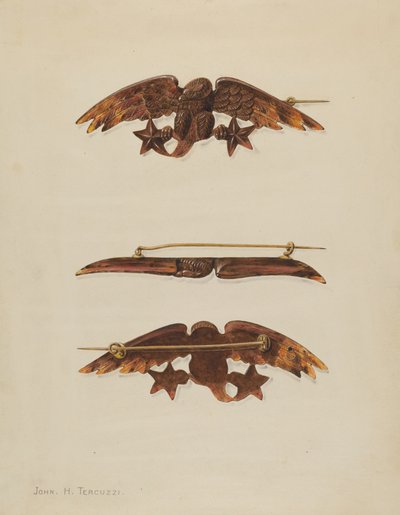 Brosje av John H. Tercuzzi