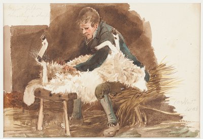 Klipping av sauer, 1808 (wc på papir) av John Harden