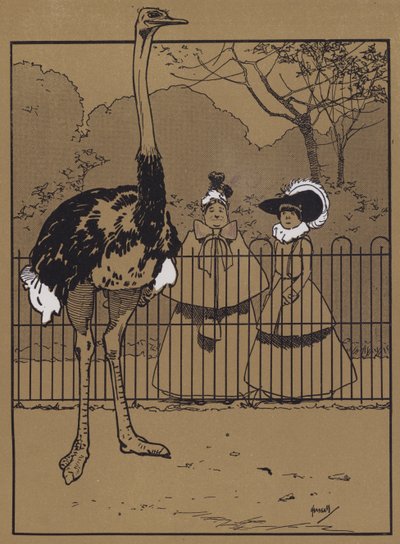 Strutsefjær (farge litho) av John Hassall