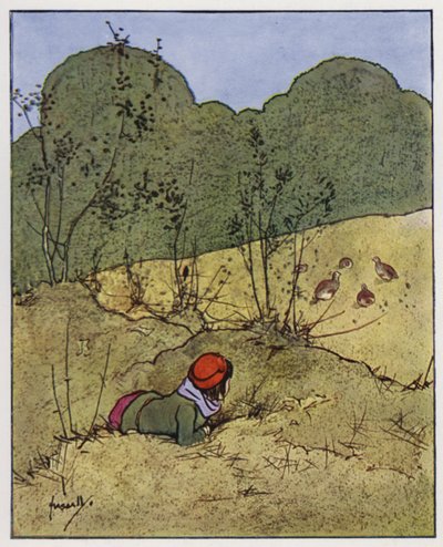 Rapphøne (farge litho) av John Hassall