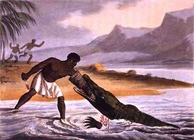 The African Crocodile Hunters, gravert av Matthew Dubourg (fl.1785-1820), utgitt av Edward Orme av John Heaviside (after) Clark