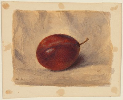 Plomme av John Henry Hill