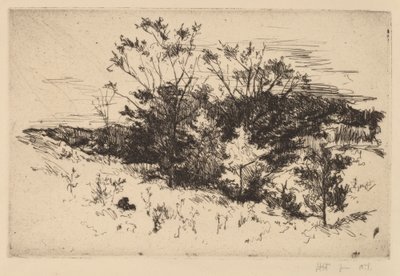 Høst Avondale av John Henry Twachtman